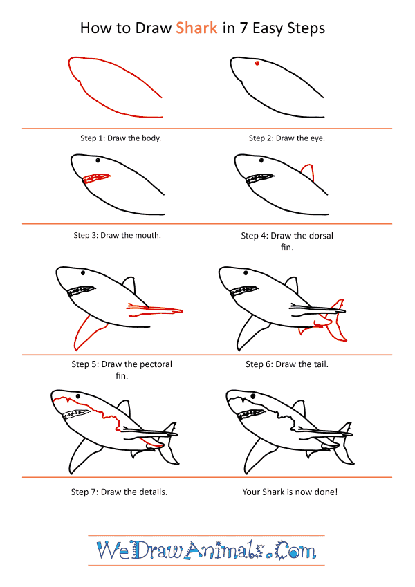 How to Draw a Realistic Shark - Step-by-Step Tutorial