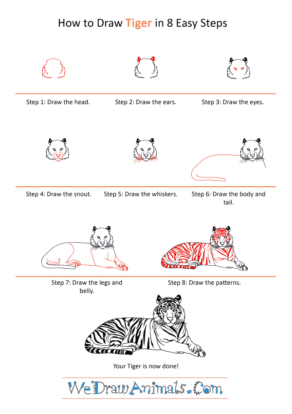 How to Draw a Realistic Tiger - Step-by-Step Tutorial