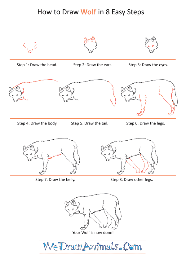 How to Draw a Realistic Wolf - Step-by-Step Tutorial