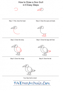 How to Draw a Simple Seagull for Kids