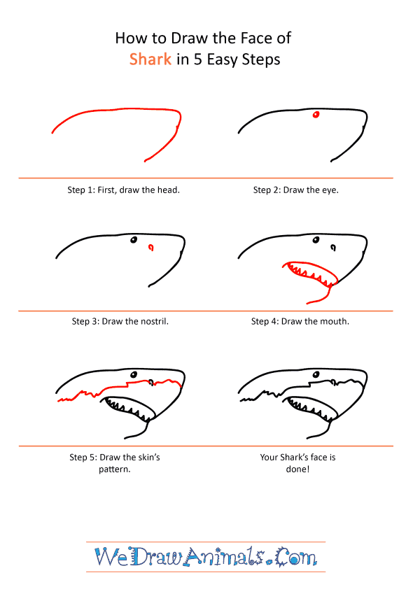How to Draw a Shark Face - Step-by-Step Tutorial