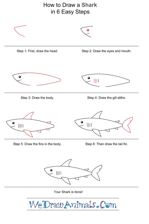 How to Draw a Shark for Kids - Step-by-Step Tutorial