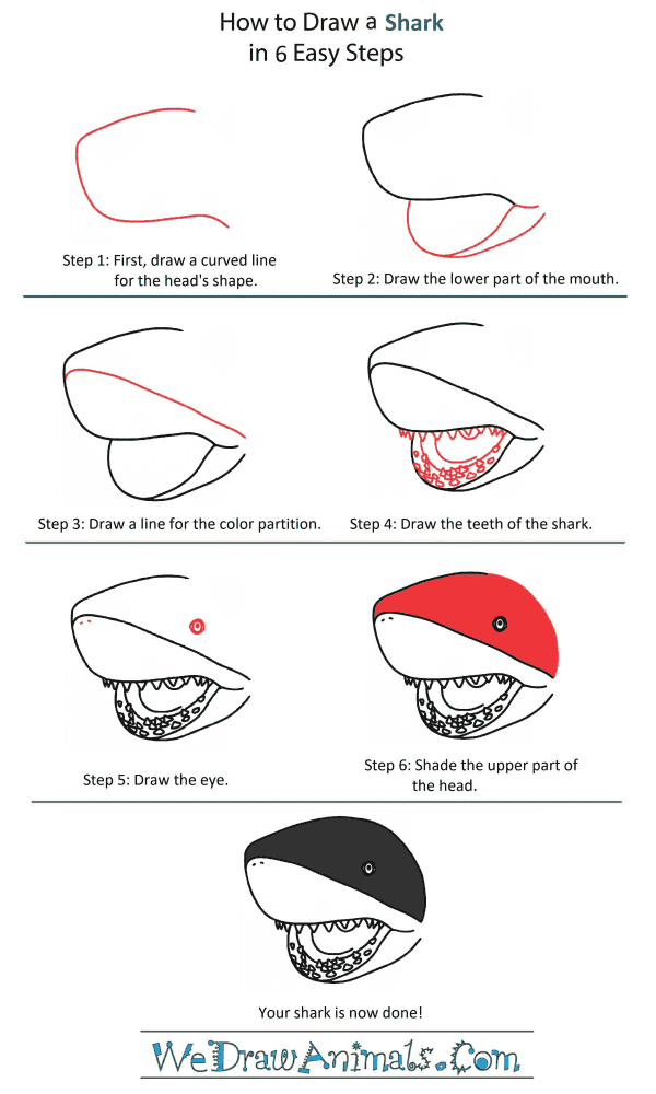 How to Draw a Shark Head - Step-by-Step Tutorial