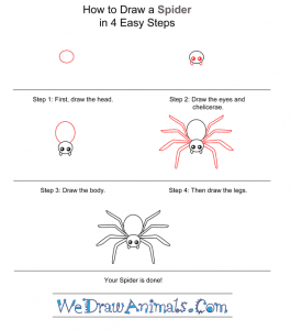 How to Draw a Simple Spider for Kids