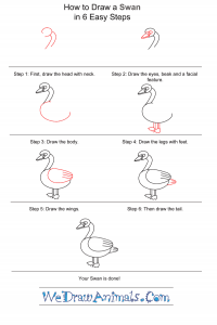 How to Draw a Simple Swan for Kids