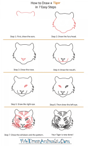 How to Draw a Tiger Head