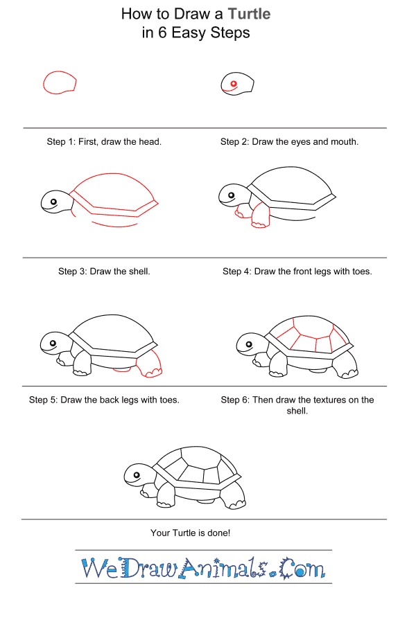How to Draw a Turtle for Kids - Step-by-Step Tutorial