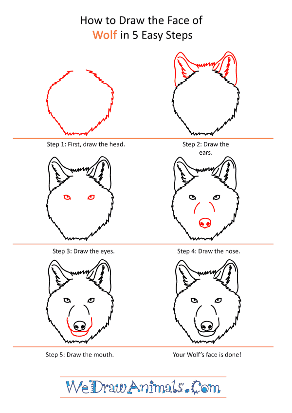 How to Draw a Wolf Face - Step-by-Step Tutorial