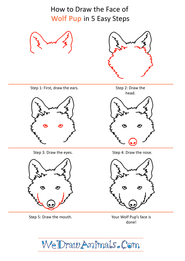 How to Draw a Wolf Pup Face