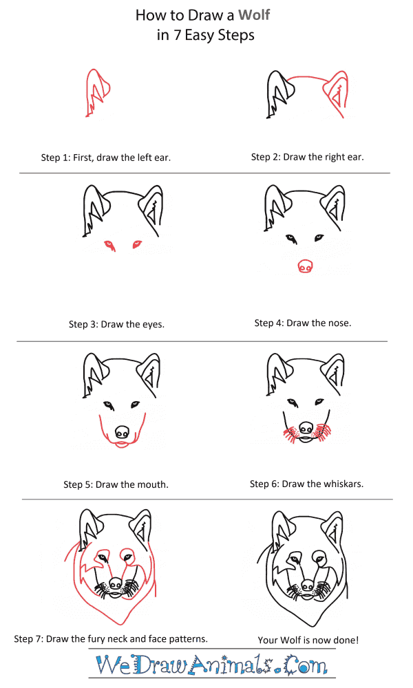 How to Draw a Wolf Pup Head