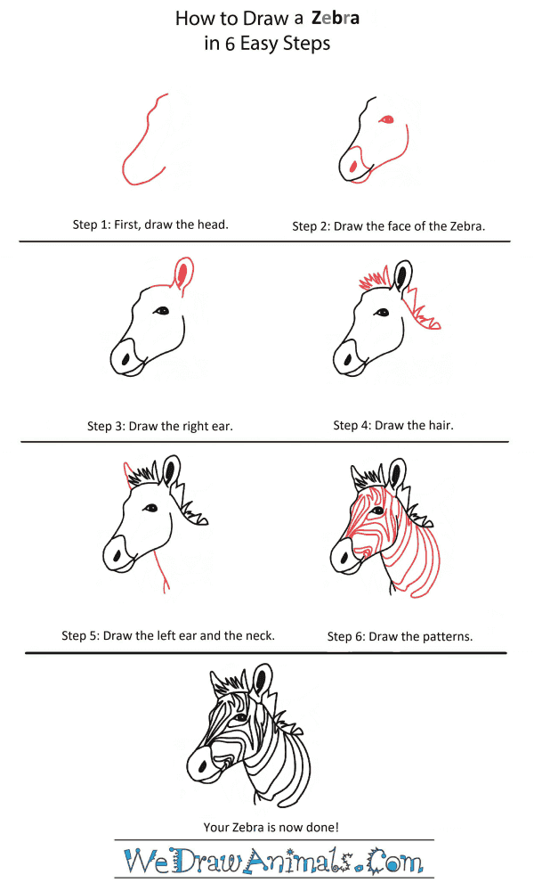 How to Draw a Zebra Head - Step-by-Step Tutorial